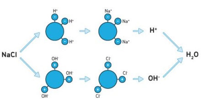 Cơ chế hoạt động của trao đổi ion